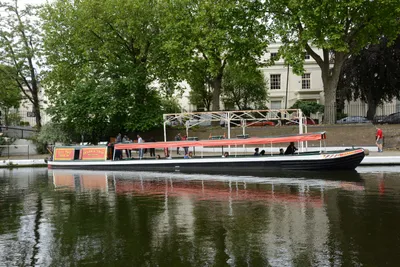 DSC_2734 (Large).JPG